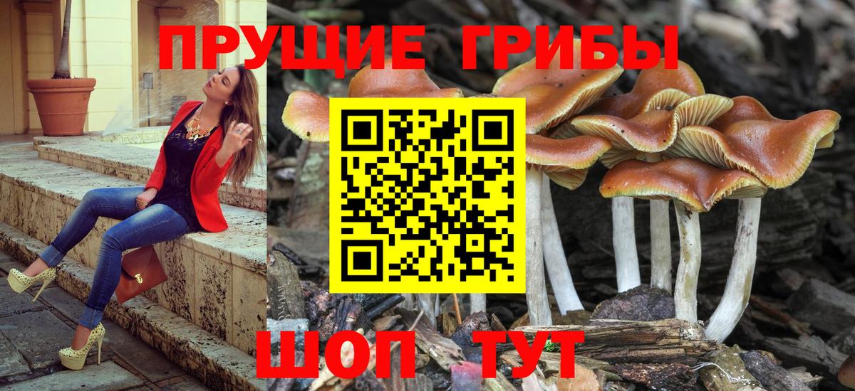 Лабинск  Галлюциногенные грибы ЛСД  Галлюциногенные грибы Psilocybe  Вход с VPN 